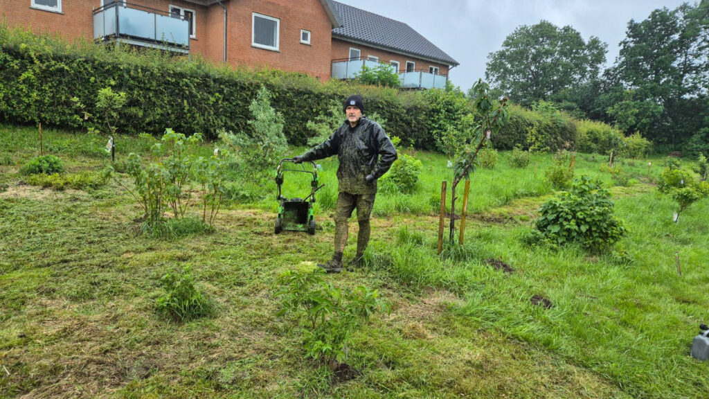 Slaaning af graes 04 - 1 - Børglumparken